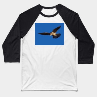 Kestrel in flight Baseball T-Shirt